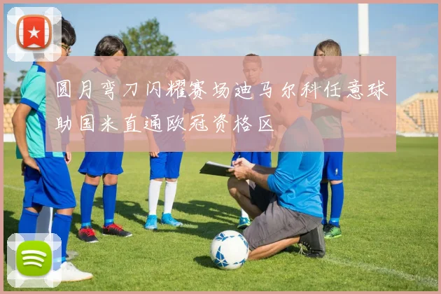 圆月弯刀闪耀赛场迪马尔科任意球助国米直通欧冠资格区